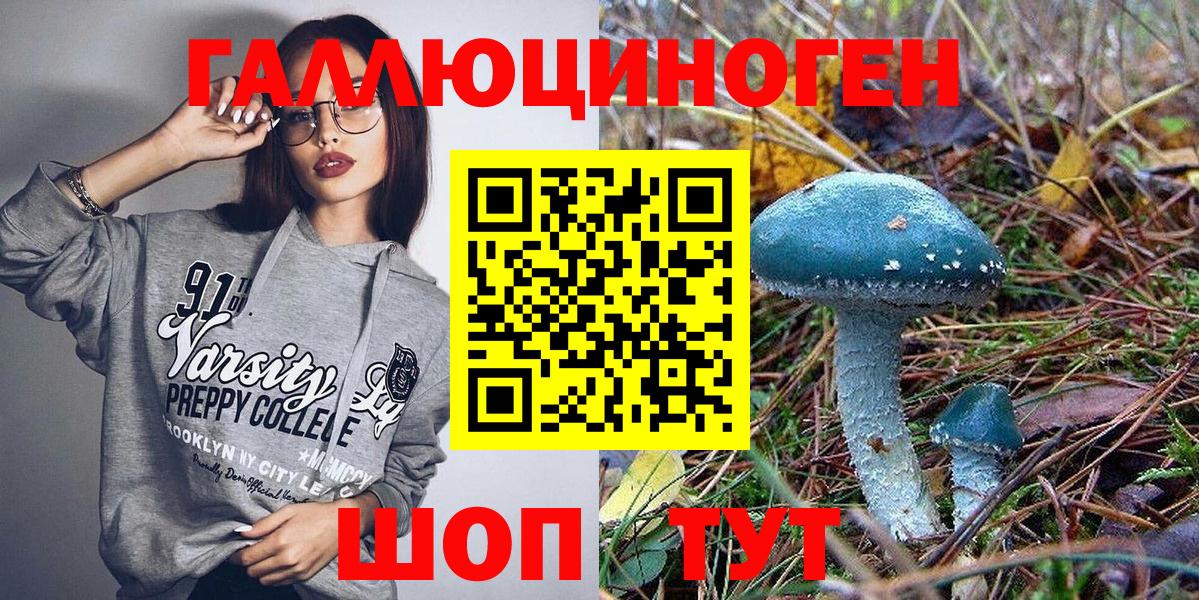 Вязники  Псилоцибиновые грибы GOLDEN TEACHER  Вход с VPN 